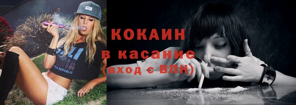 ПСИЛОЦИБИНОВЫЕ ГРИБЫ Арсеньев