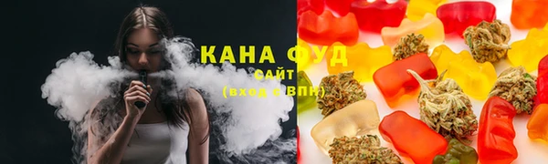 гашик Чегем