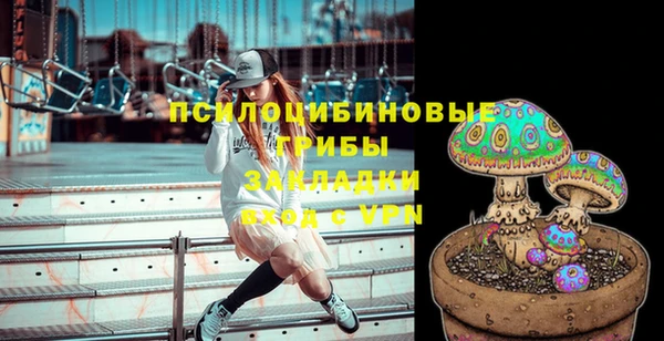 ПСИЛОЦИБИНОВЫЕ ГРИБЫ Арсеньев