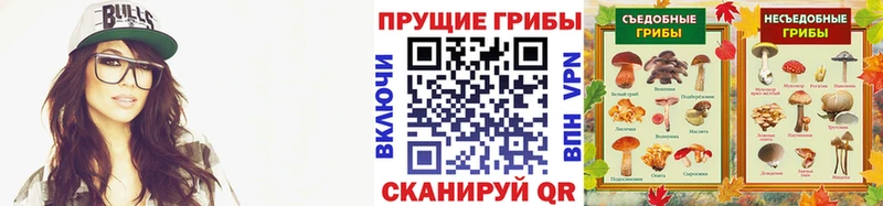 Галлюциногенные грибы мухоморы Майкоп