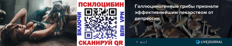 Галлюциногенные грибы мухоморы  купить  сайты  Майкоп 
